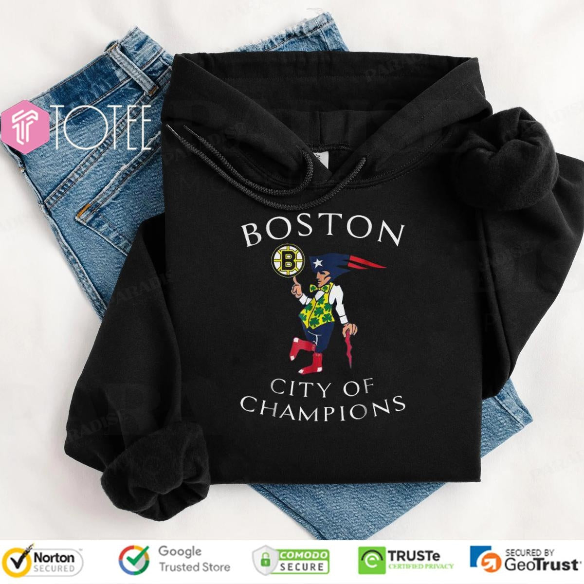 Boston Sports Teams City Of Champions T-shirt