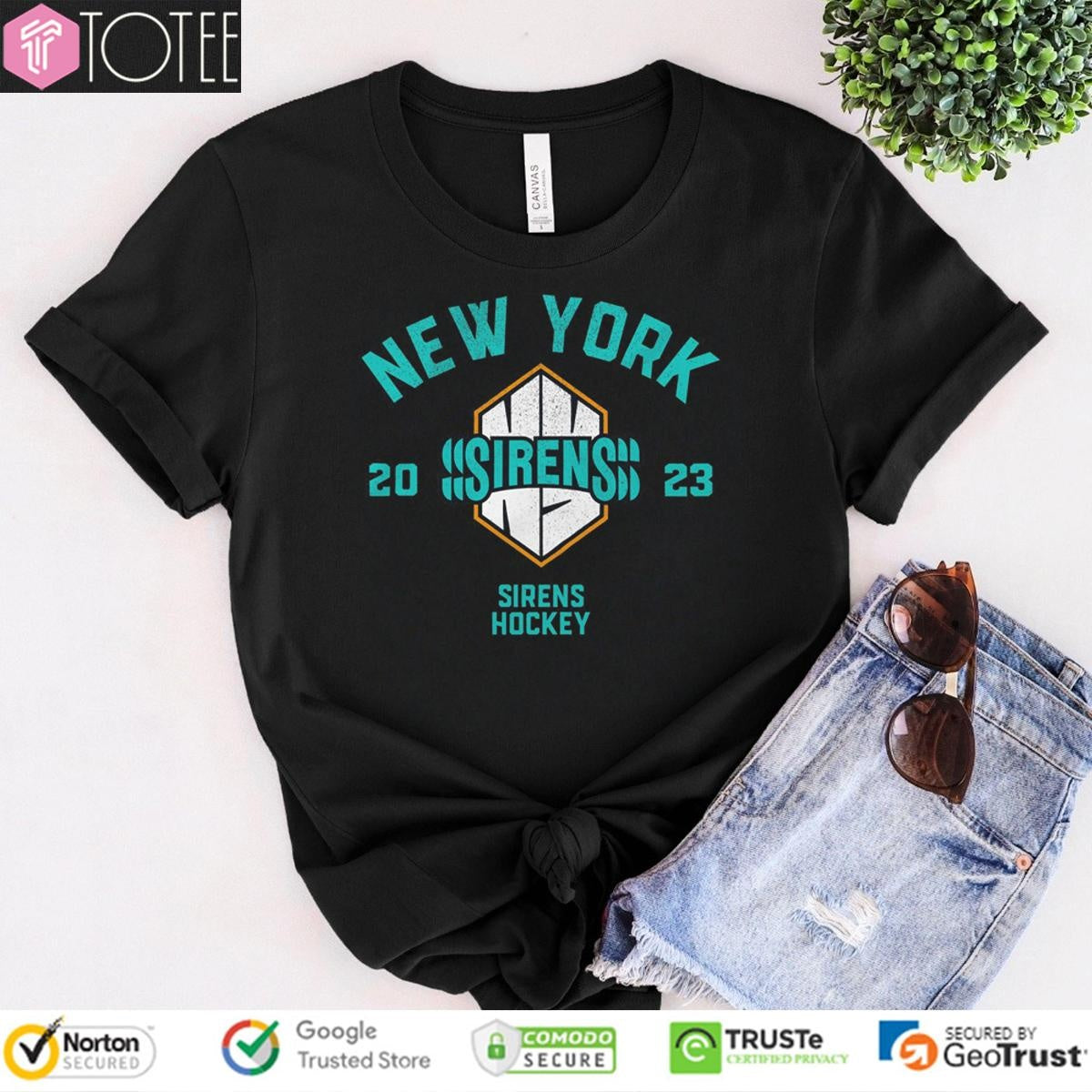 New York Sirens Hockey Stadium Get Back Vintage T-shirt