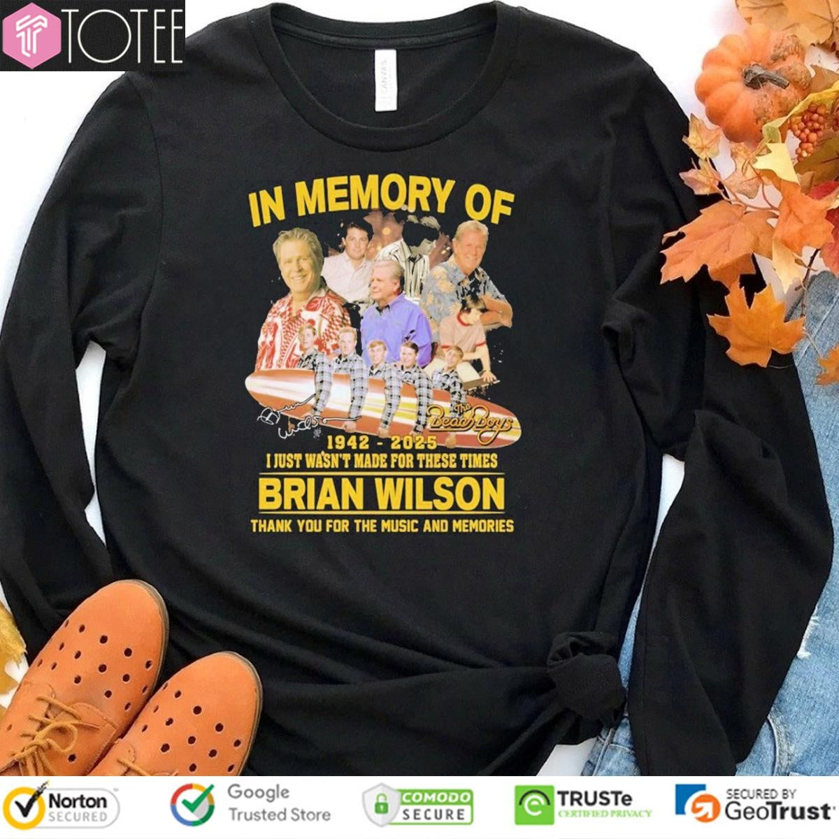 The Beach Boys In Memory Of Brian Wilson 1942 2025 I Just Wasnt For These Times T-shirt