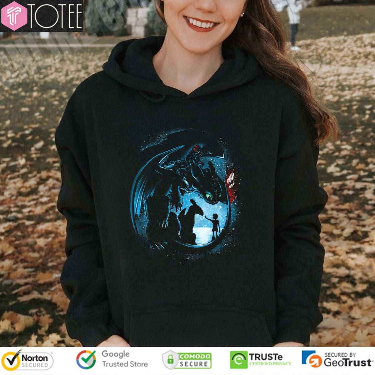Toothless And Hiccup Yesterday And Tomorrow T-shirt