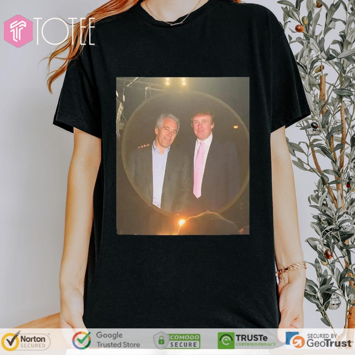 Trump And Epstein Coldplay Concert Kiss Cam T-shirt