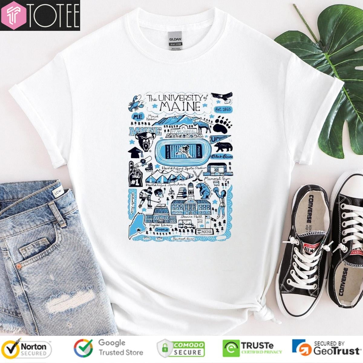 University Of Maine Art Illustration T-shirt