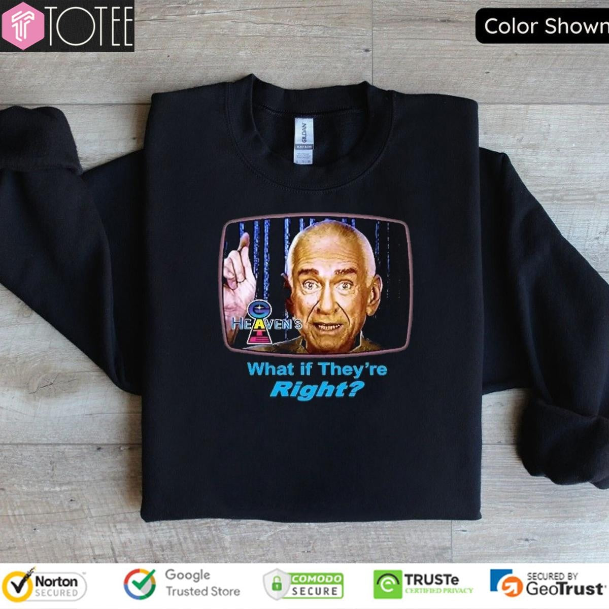 Heavens Gate What If Theyre Right Marshall Applewhite T-shirt