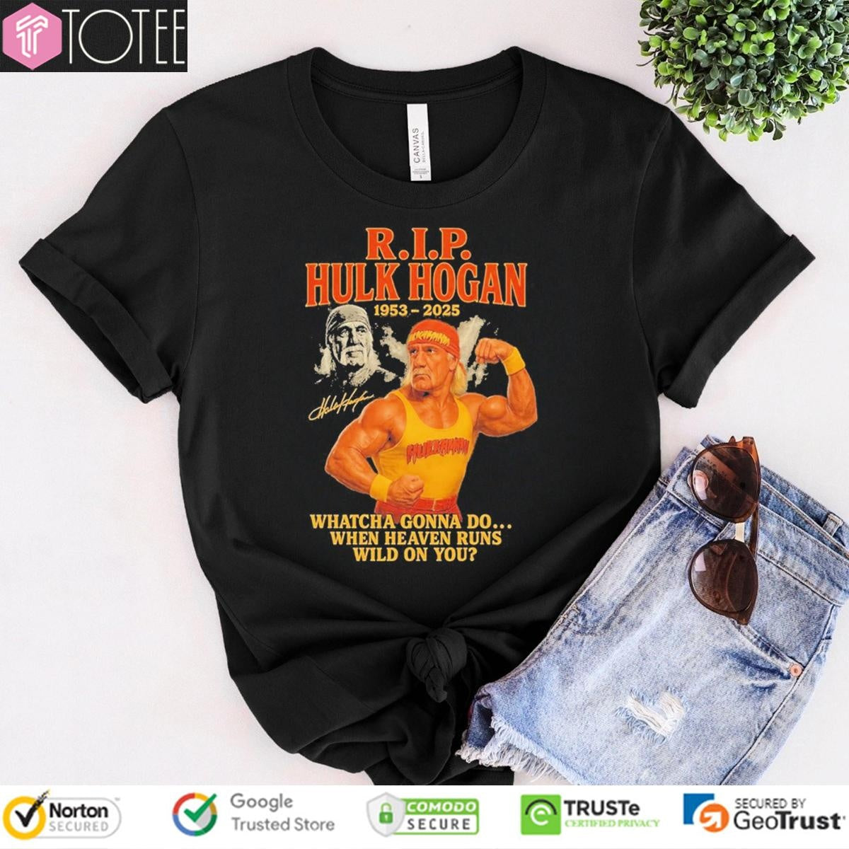 Hulk Hogan 1953-2025 Whatcha Gonna Do Brother When Heaven Runs Wild On You T-shirt