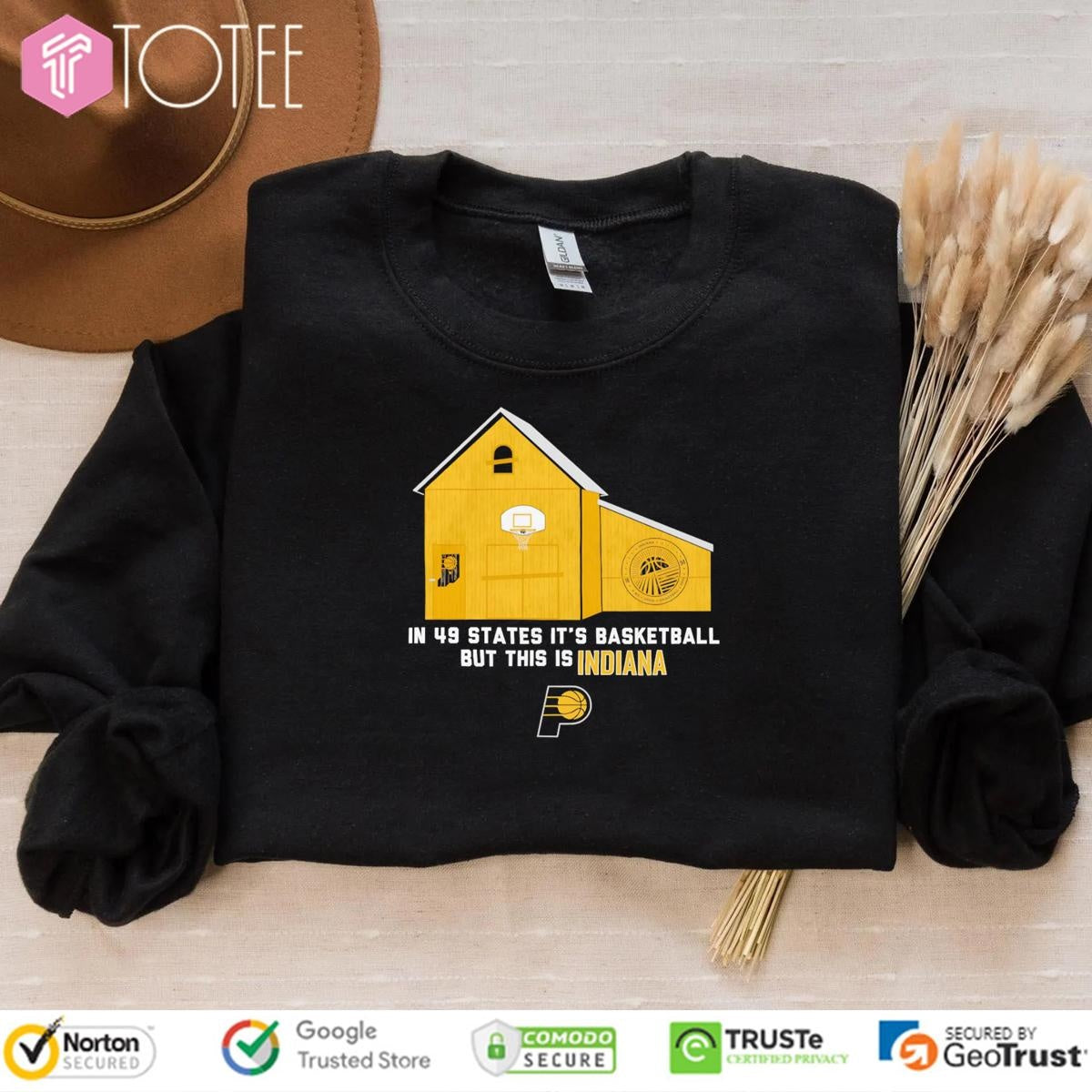 Indiana Pacers In 49 States Its Basketball But This Is Indiana T-shirt