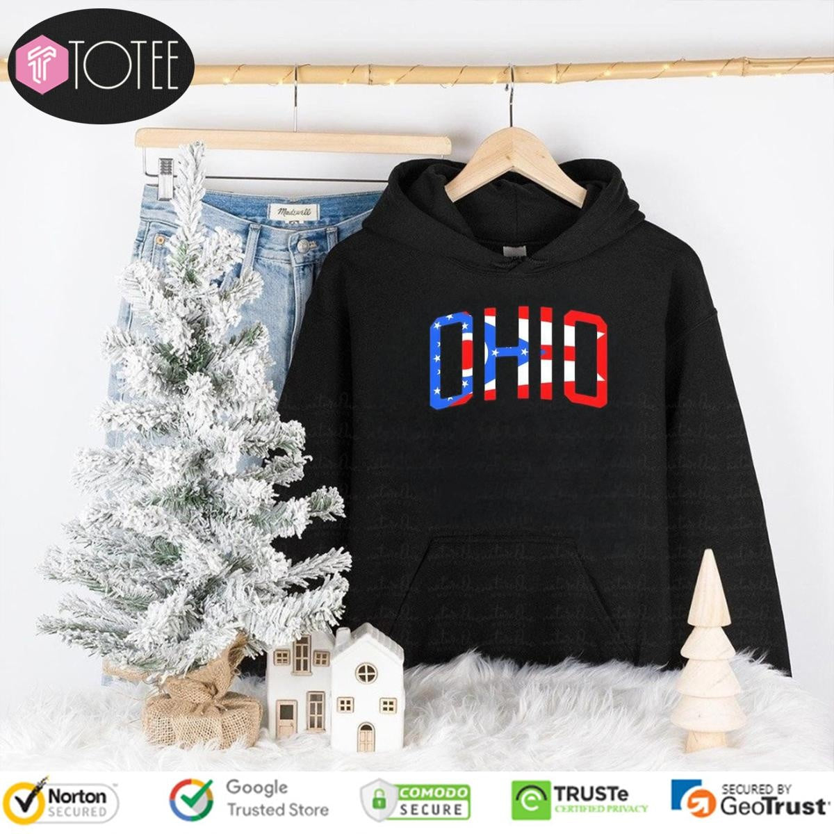Ohio Flag Letter Hoodie