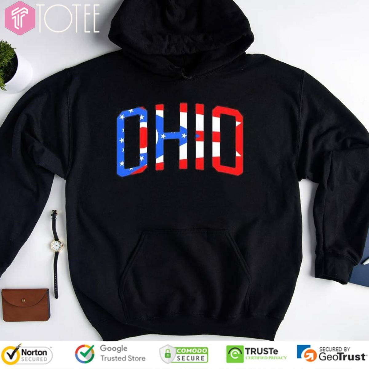 Ohio Flag Letter Hoodie
