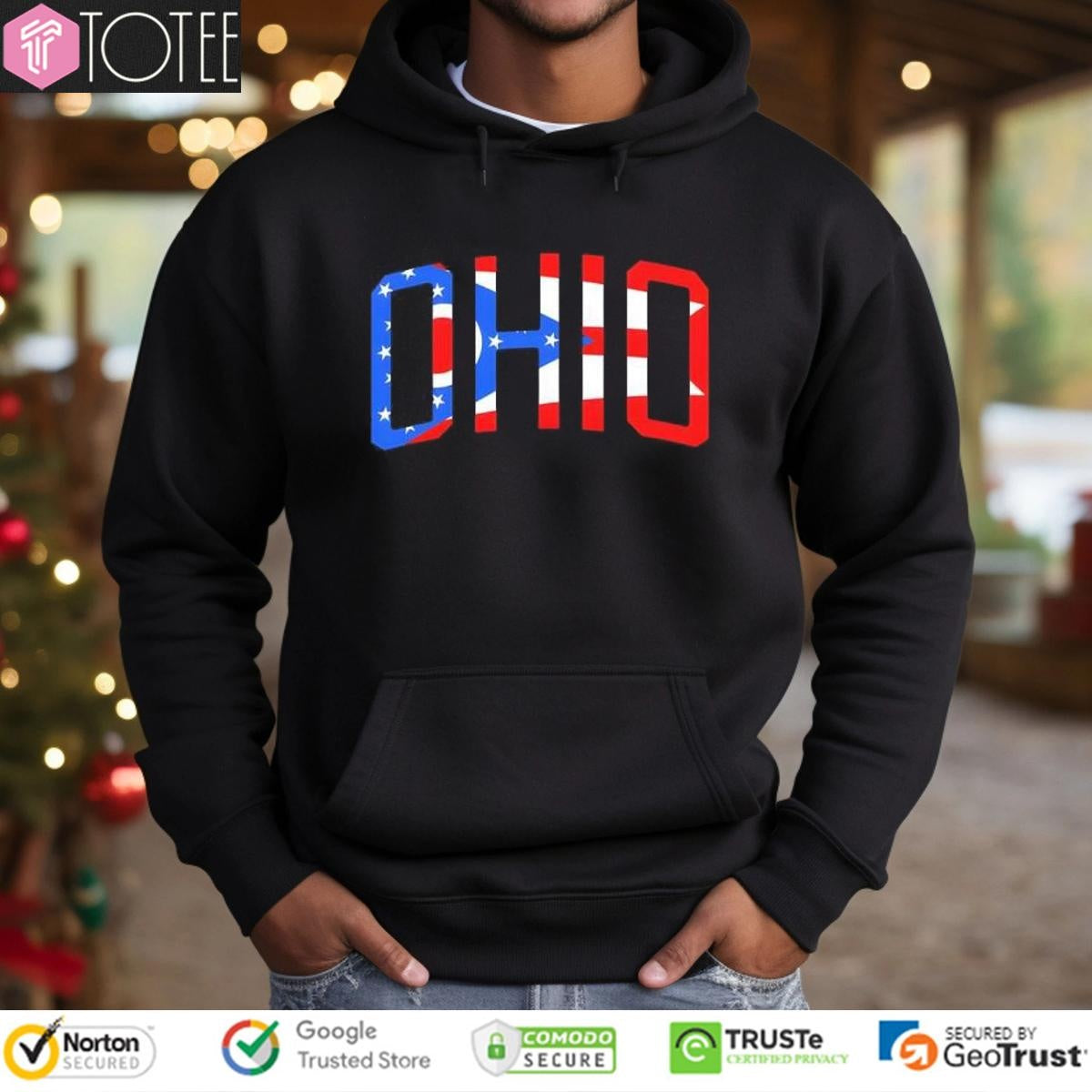 Ohio Flag Letter Hoodie