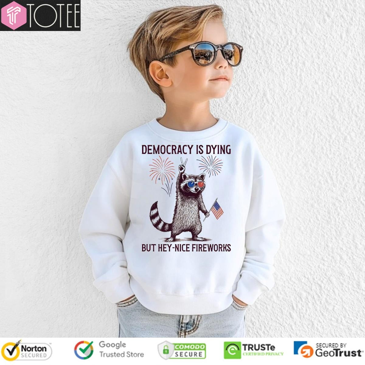 Raccoon Hold Usa Flag Democracy Is Dying But Hey Nice Fireworks 4Th Of July T-shirt