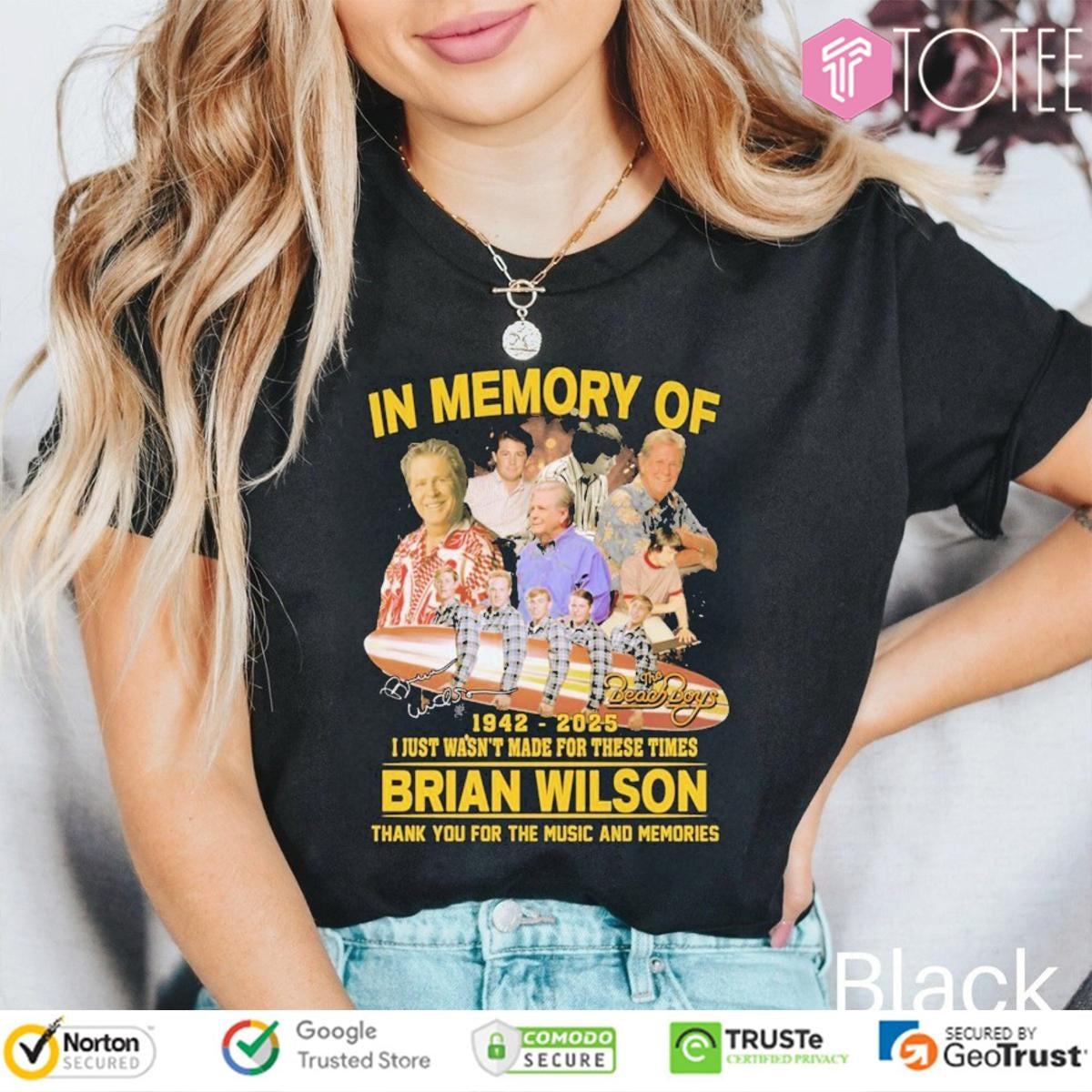 The Beach Boys In Memory Of Brian Wilson 1942 2025 I Just Wasnt For These Times T-shirt