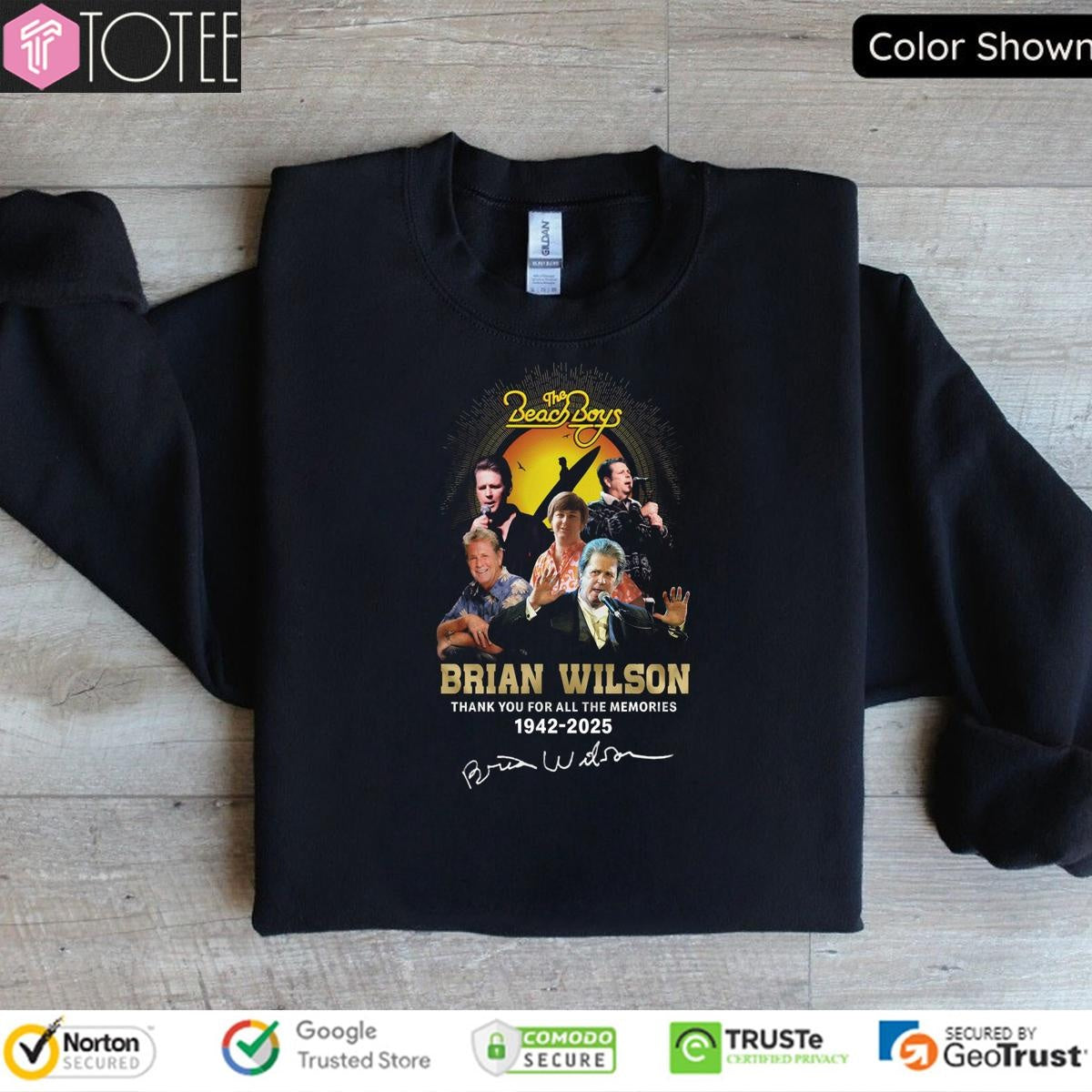 The Beach Boys Thank You For All The Memories Brian Wilson 1942-2025 T-shirt